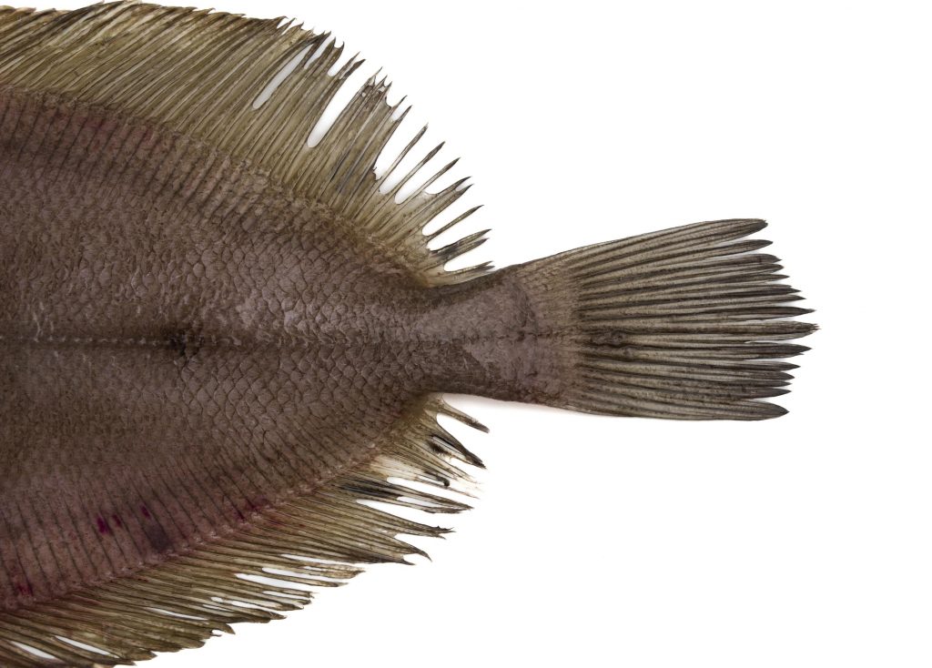 F0000000048__1029960