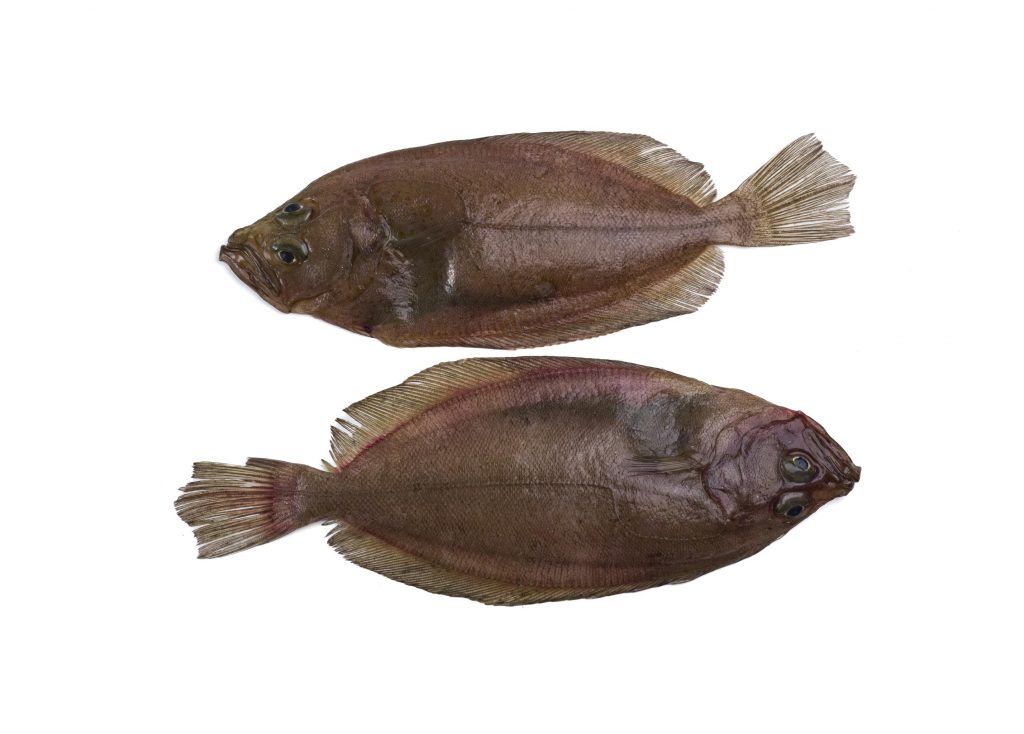 F0000000049__1029961