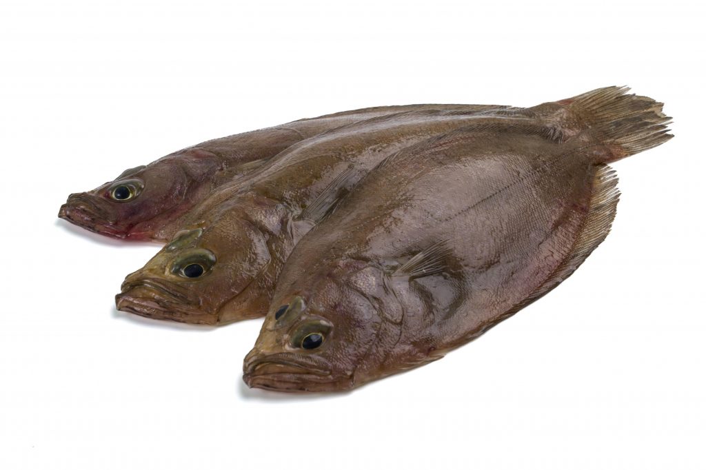 F0000000050__1029976