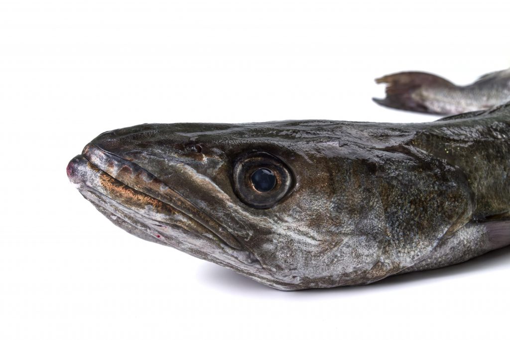 F0000000067__1030005