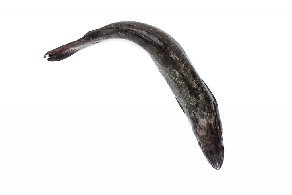 F0000000077__1029999