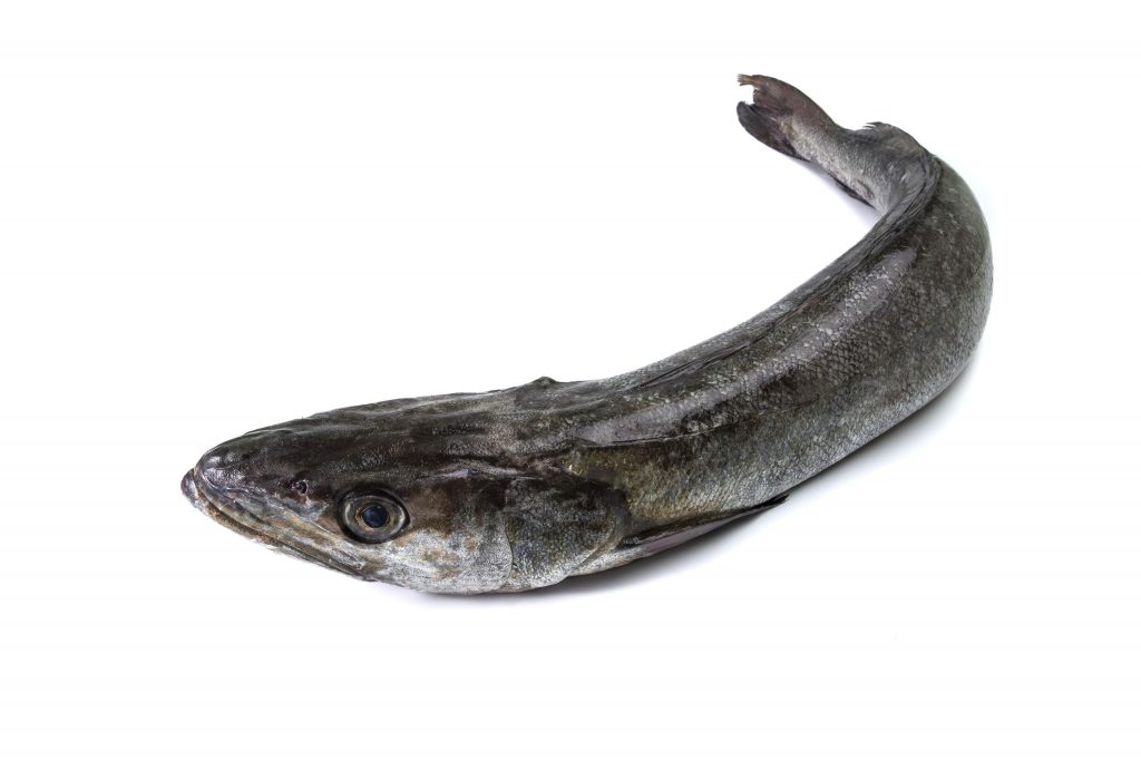 F0000000078__1029992