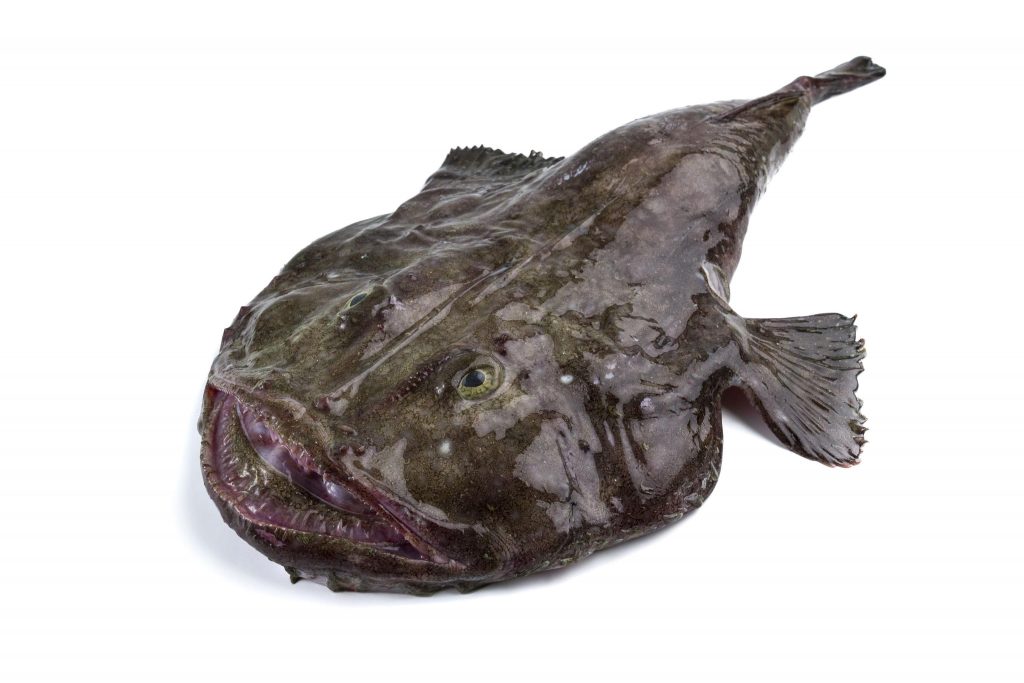 F0000000081__1030054