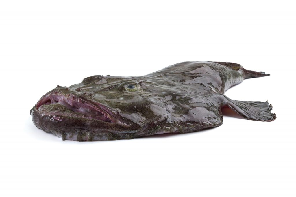 F0000000083__1030103